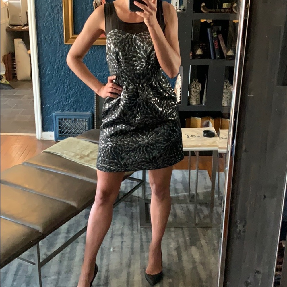 Metallic Silver & Black Sheer Elle cocktail dress